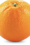 Salty Oranges