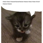 ‘!!