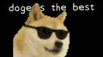 Daptoper fans group