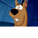 Scoob Friends Club