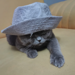 MrFloppy's Community