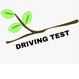 Stick Driving