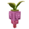 Rosy Root produce