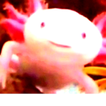 Team Axolotl Virtual Friends