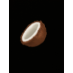 Nicole's Coconuts