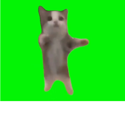 Lazer cat