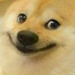 조선vs일본 그룹
