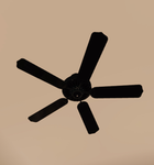 (New) Ceiling Fan Group Productions