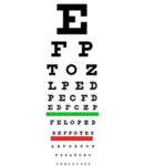 do you see?