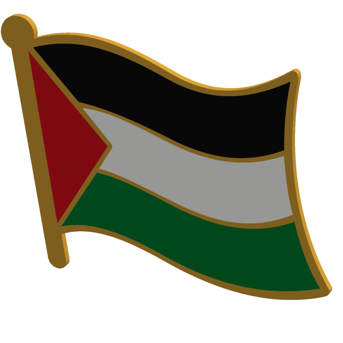 Palestine Flag Pin 