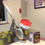 Countryhumans group