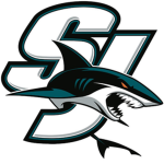 NHLhockey league