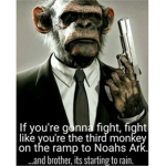 ﹝Monke Ceremonial Guard﹞