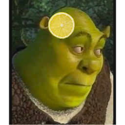 dont mess with shrek/