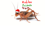 Roblox FRIENDS Team