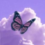 Purple And Pink Butterflies