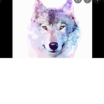 (Wolf Pack Love)