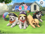 Puppys play pen