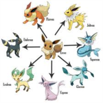 Eevee Lovers