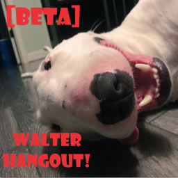 Walter Hangout [BETA]