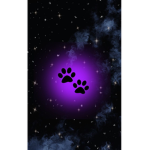 Bunny’s forever group