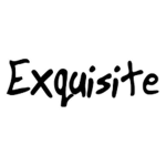 Exquisite Clothes