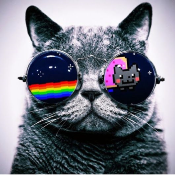 ittej obby