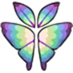Silk Moth Art Gallery