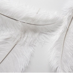 WhiteFeather