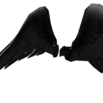 the wings family (dose not matter witch wing color