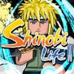 RPG Shinobi Team