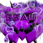 Elite Shadow Assassin Warriors