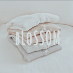 :: blossom ::