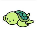 Mr.Copper The Turtle