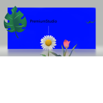 PremiumStudio