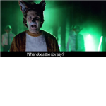 What Does The Fox Say Lovers