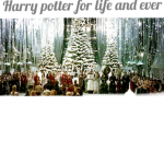 Harry Potter for life and ever