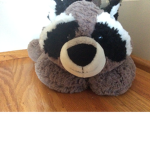 We love Racoons