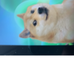 Dodge community