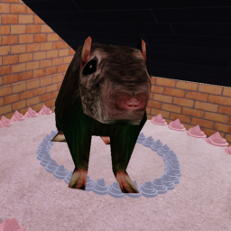 Rats ceremony