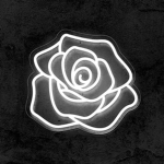 Black Rose (黒薔薇)
