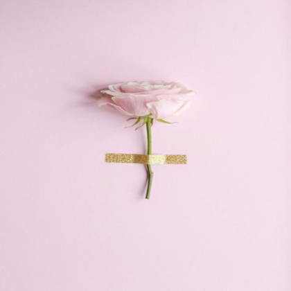 pink aesthetic Roblox decal