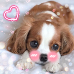 pups make the world special