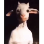 Rodrigoiscool