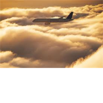 F.T.S.W.W airlines