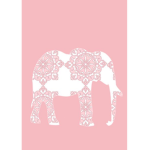 The Elegant Elephants