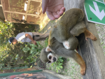 || - Harper’s appearl - ||