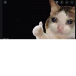 the memer hide out