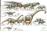 Dino engoyers