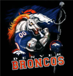 Bronco's FANS!